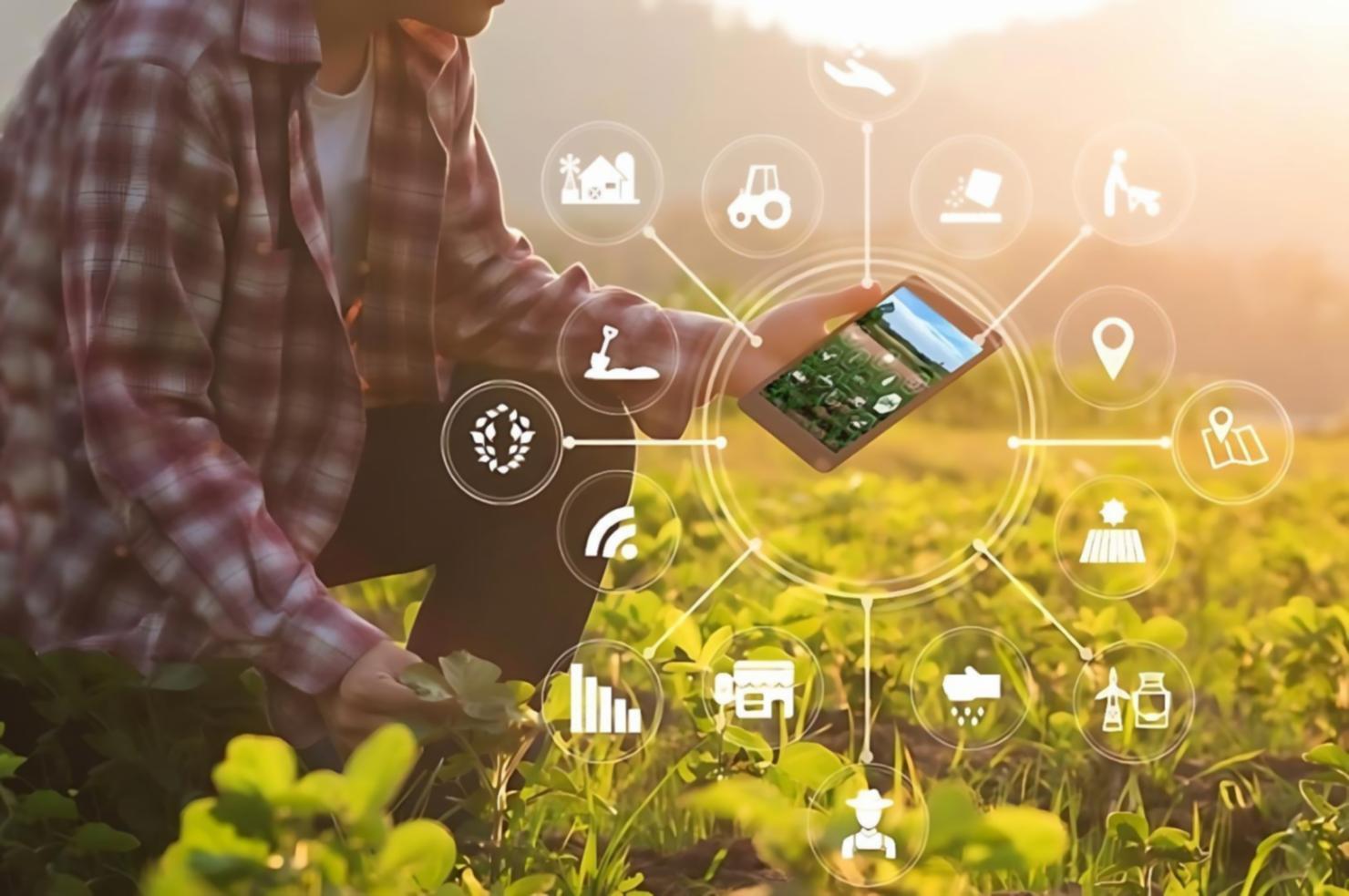 Interaktivní analytické nástroje pro práci s daty